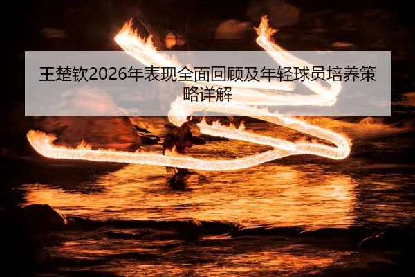 王楚钦2026年表现全面回顾及年轻球员培养策略详解 | LEYU SPORTS