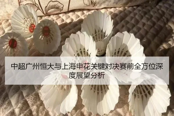 中超广州恒大与上海申花关键对决赛前全方位深度展望分析 - LEYU SPORTS