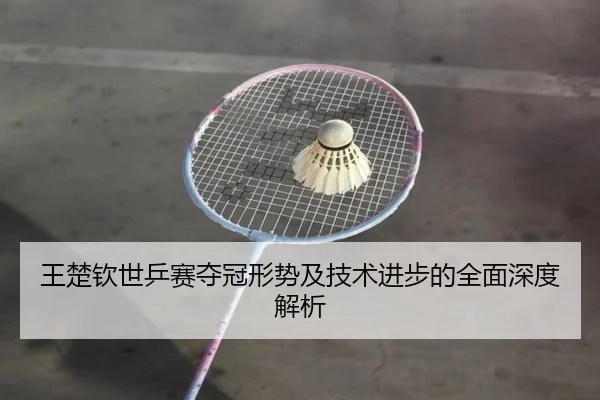 王楚钦世乒赛夺冠形势及技术进步的全面深度解析 - LEYU SPORTS